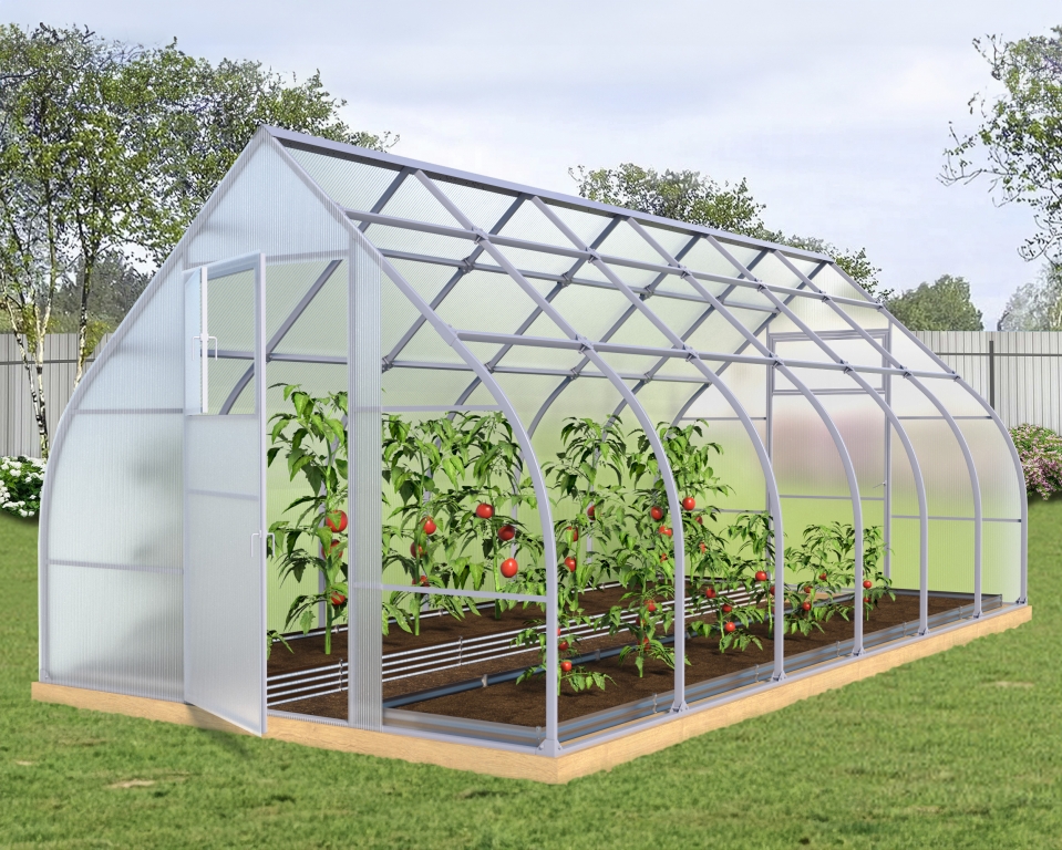 Теплица Каплевидная 40х20 - ширина 2.5 м в Калуге